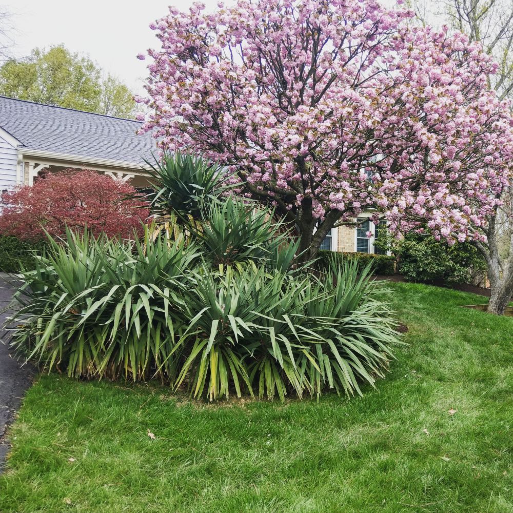 Flores Landscaping Contractors