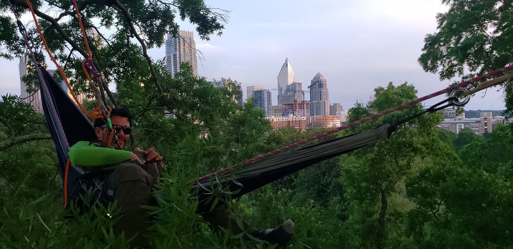 Piedmont Tree Experts