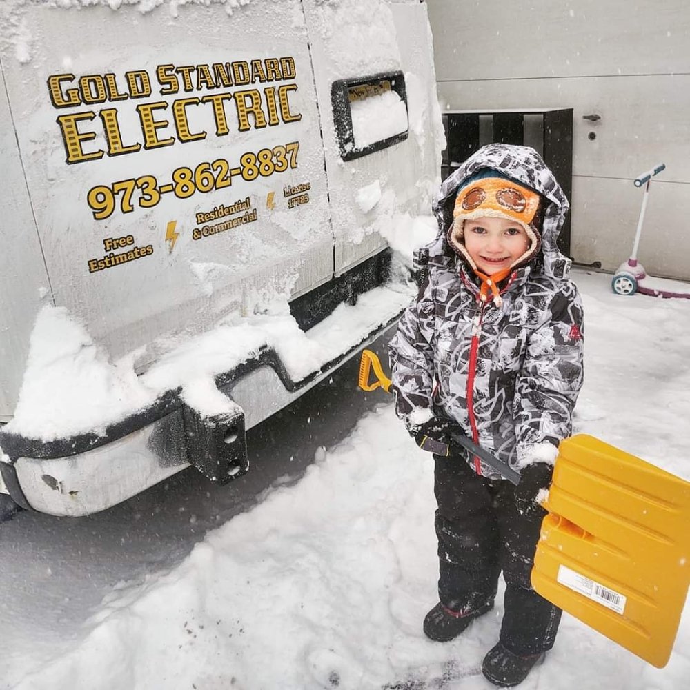 Gold Standard Electric