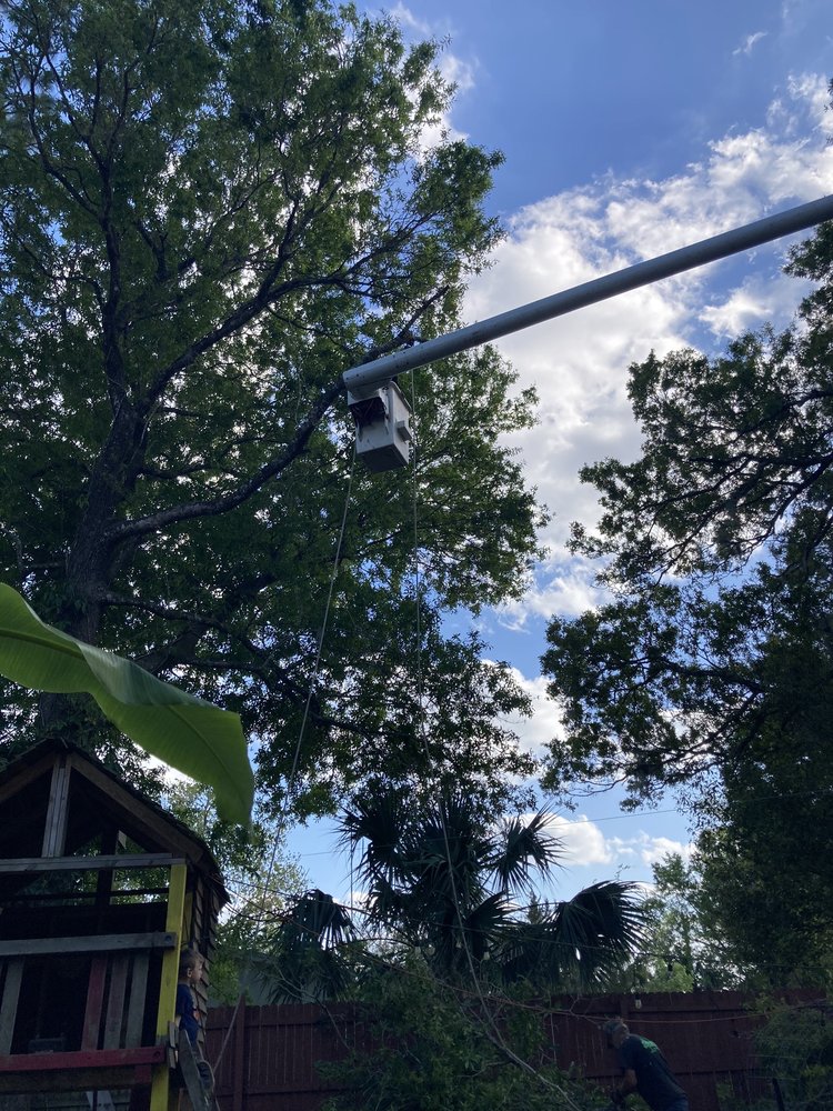 Hobbs Tree Service