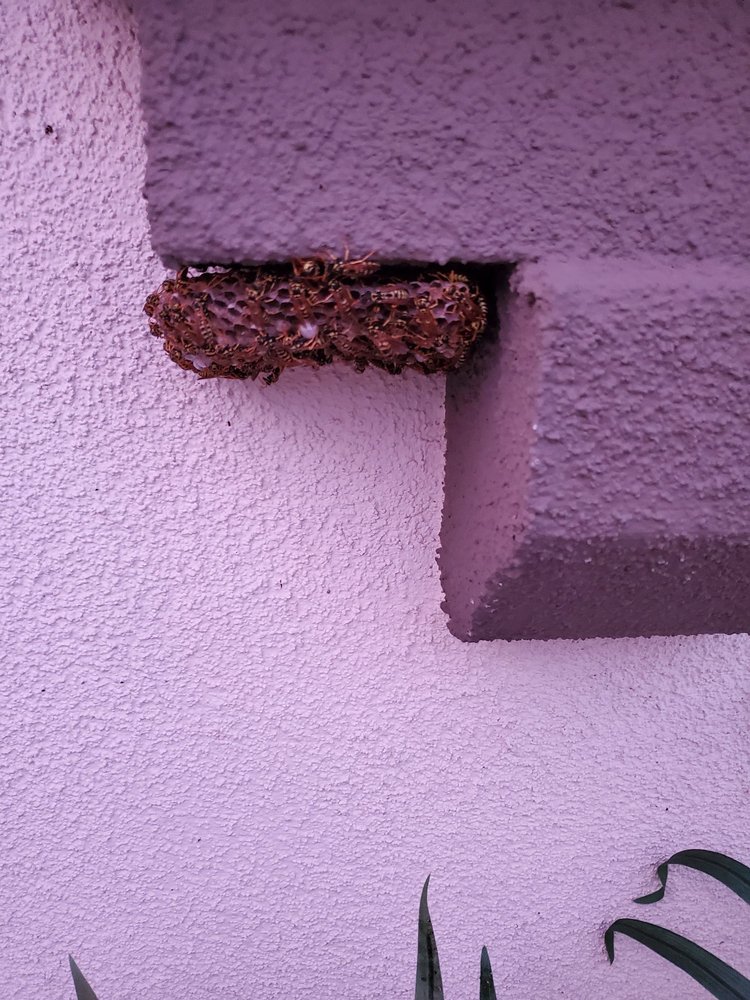 Dewey Pest Control