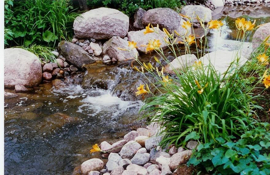 Skyline Design and Landscape