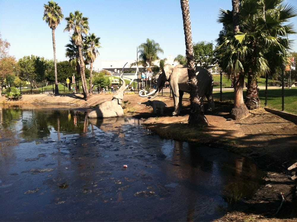 Restaurants Near La Brea Tar Pits Restaurants Near La Brea Tar Pits