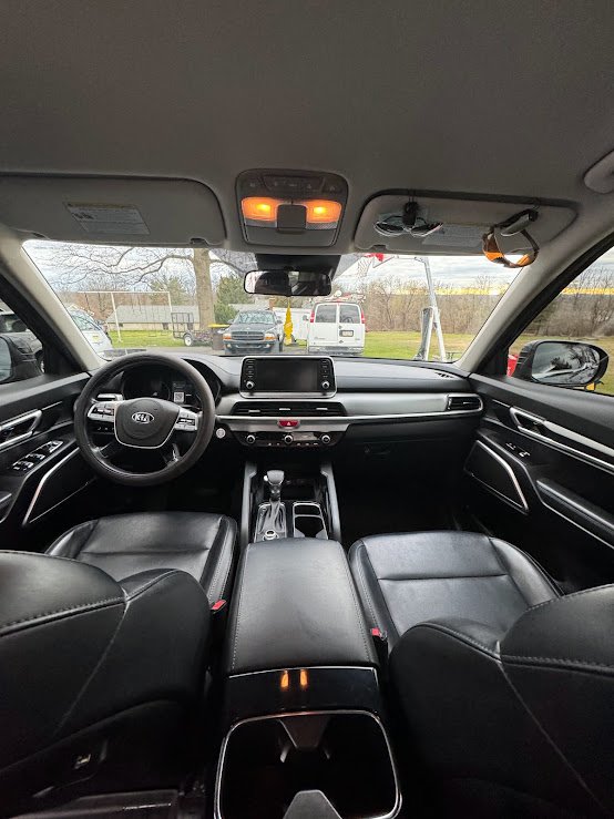 Damiani Detail