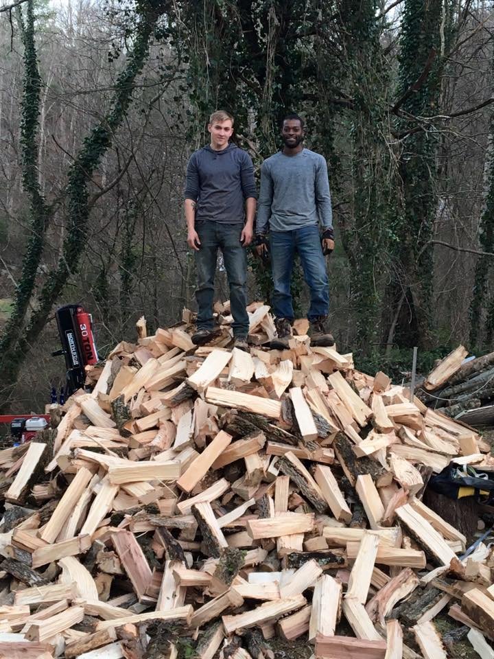 Wood Tree Service