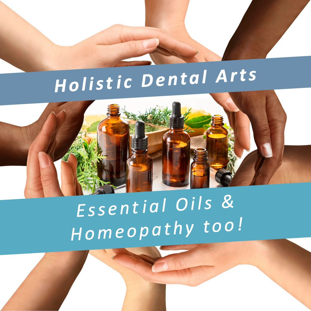 image of business Holistic Dental Arts