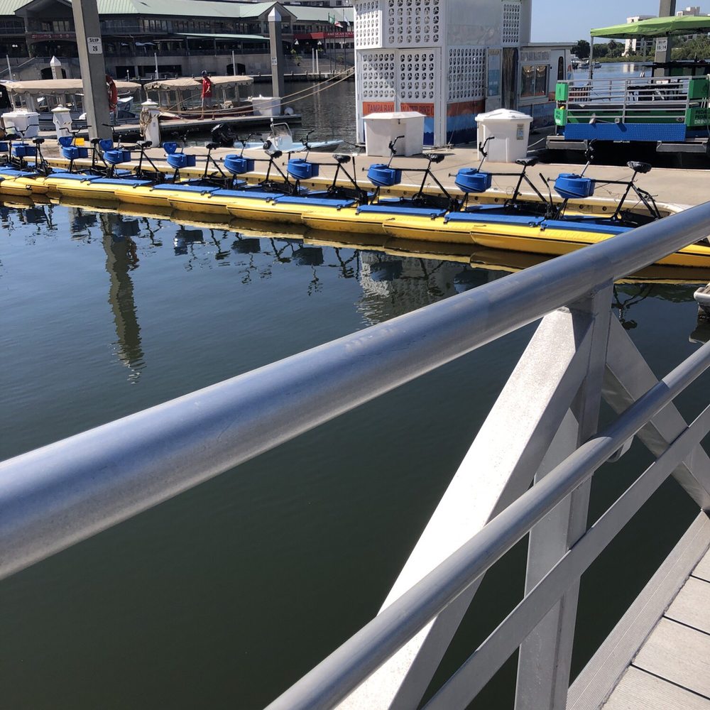 Tampa Bay Water Bike Company 83 Photos & 67 Reviews Rafting