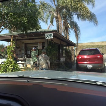 Evergreen Nursery 101 Photos 56 Reviews Nurseries Gardening Photo Of Evergreen Nursery Oceanside Ca United States Cashier Office At