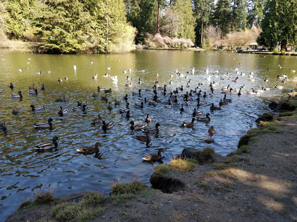 Map, Directions and Info for Burnaby Central Park Vancouver