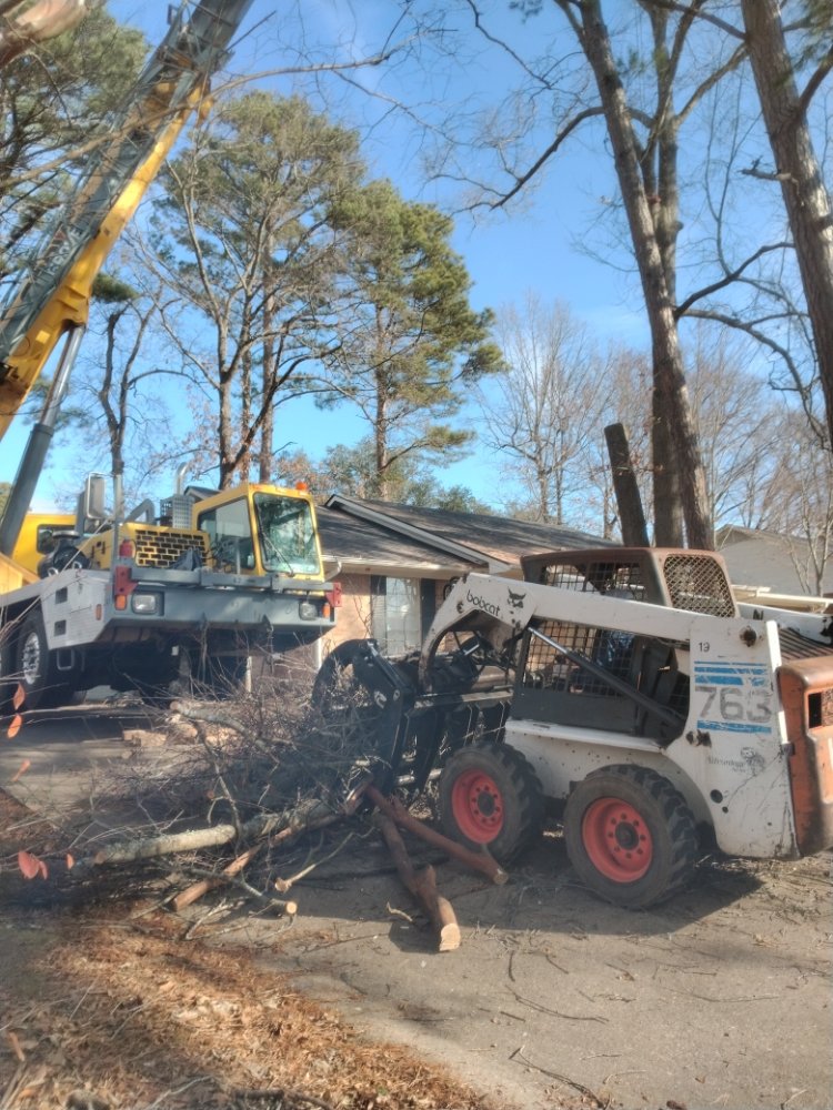 S&A Tree Service