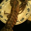 The Lobster Pot
