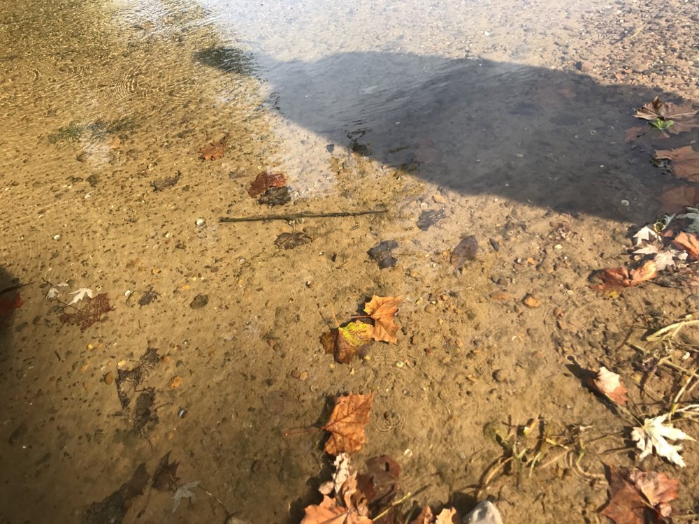 White's Ford Regional Park