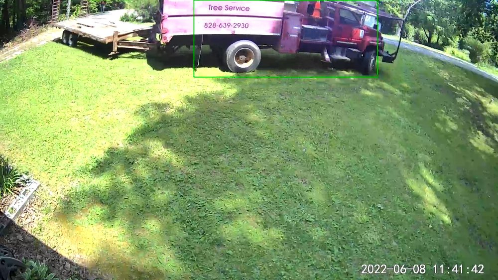 Timberline Tree Service & Stump Grinding