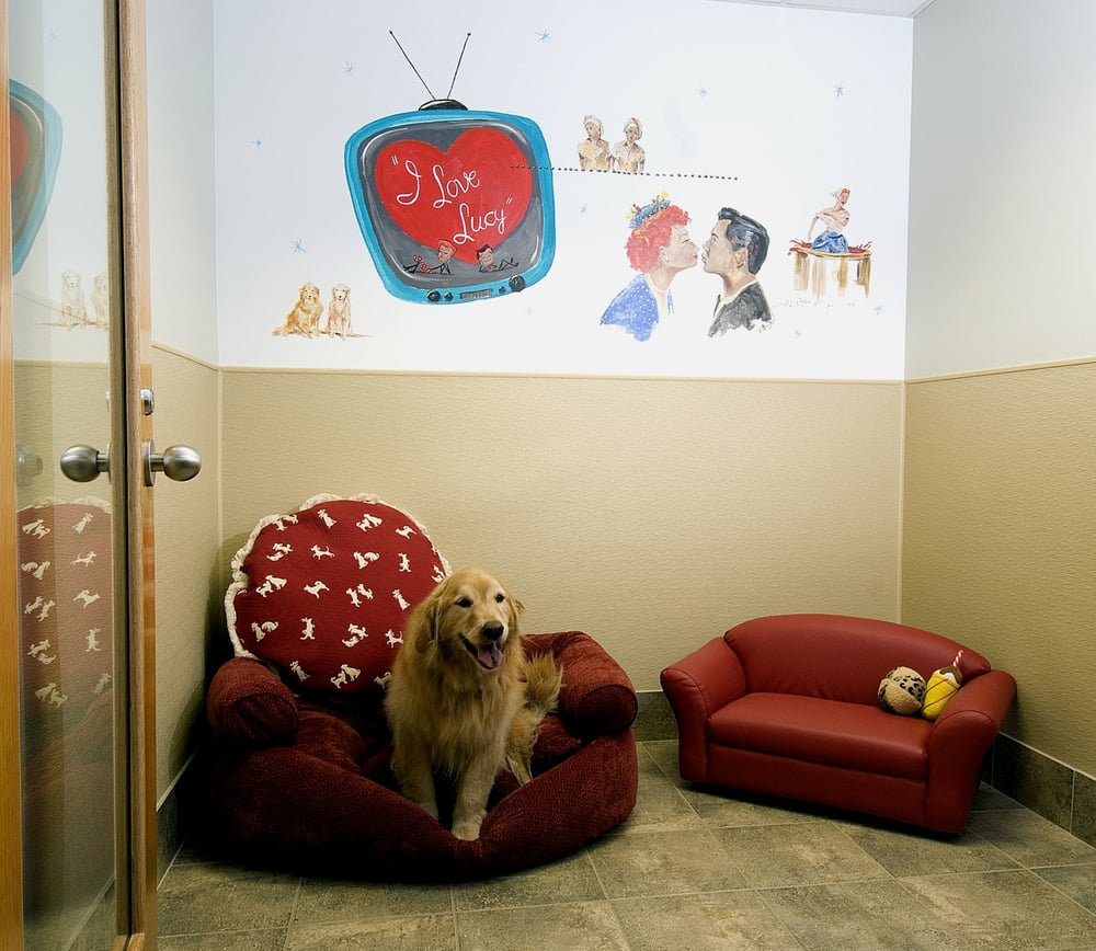 Red Dog Spa Red Dog Spa
