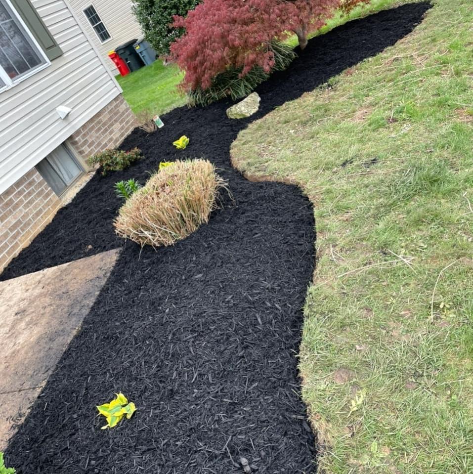 T&K Lawn Care