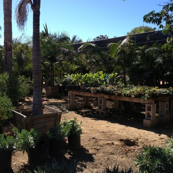 Pala Mesa Nursery 19 Photos 13 Reviews Nurseries Gardening Photo Of Pala Mesa Nursery Fallbrook Ca United States