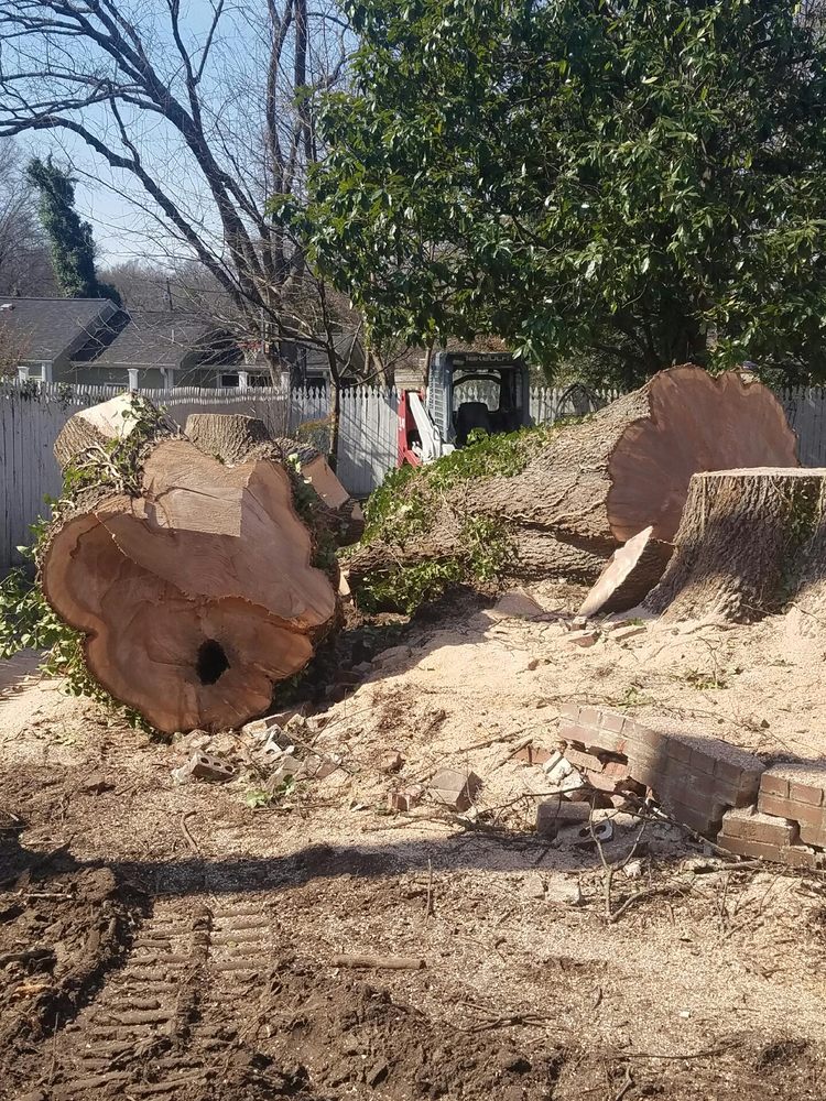 Hunt's Tree Removal And Pruning Service Inc