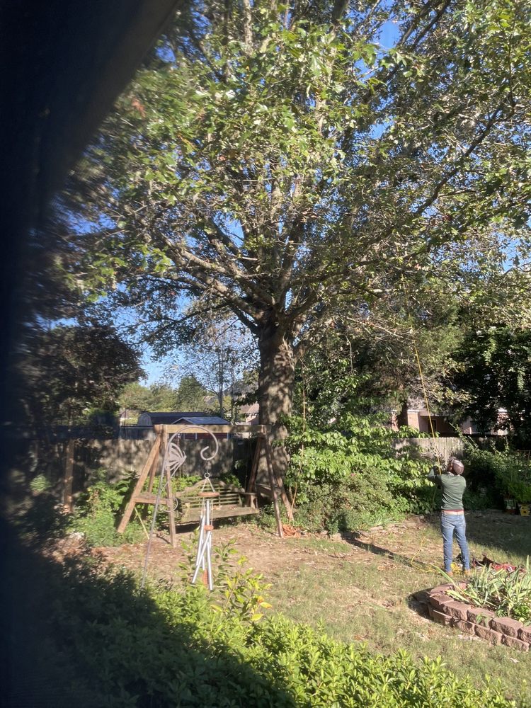 J&J Tree Services