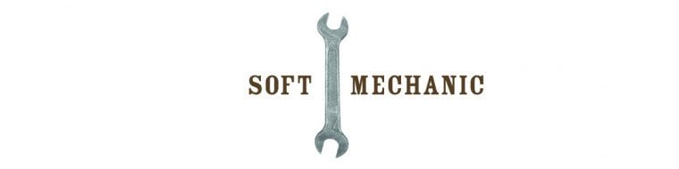 Soft Tissue Mechanics