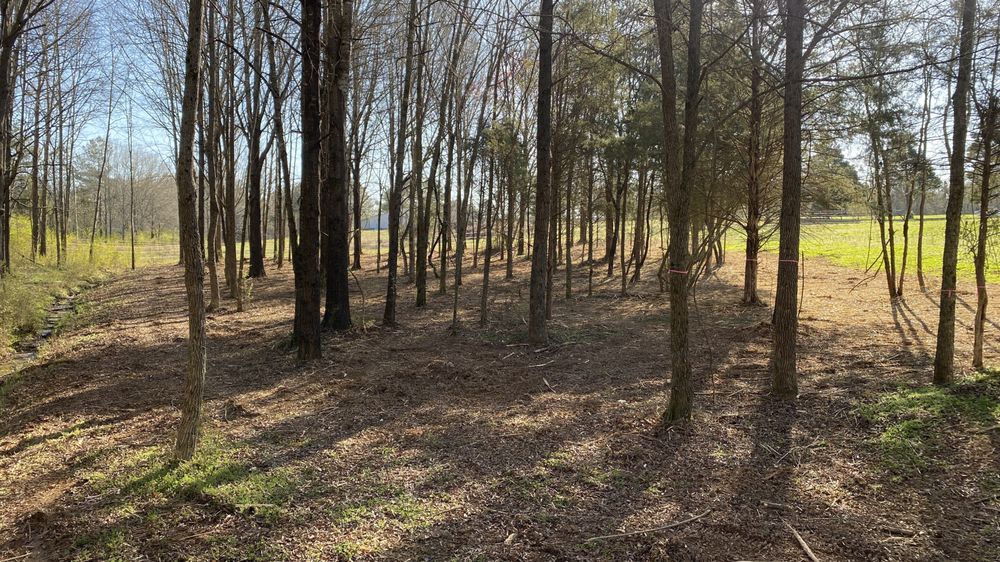 Loves Land Management