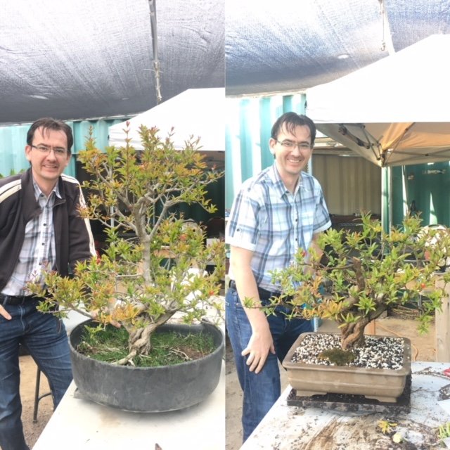 California Bonsai Studio 12 Photos Nurseries & Gardening 4015 N