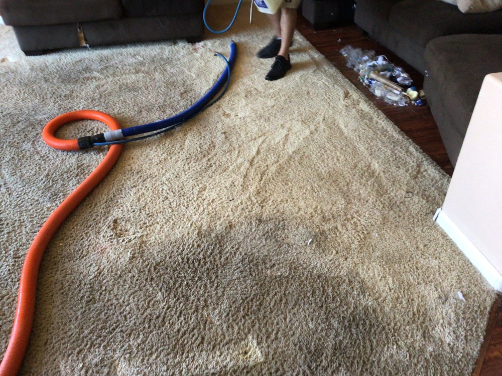 image of business Kinco Carpet & Upholstery Cleaning