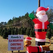 Trosa Tree Lot Christmas Trees 3330 Westgate Dr Durham