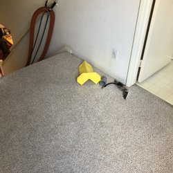 De Leon Carpet Care Request A Quote 18 Photos Cleaning Photo Of De Leon Carpet Care Upland Ca United States After