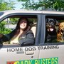 Bark Busters Home Dog Training San Francisco