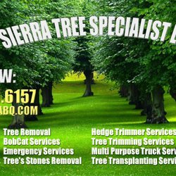 tree removal albuquerque ricks photo of sierra tree specialist albuquerque nm united states services nm phone tree removal albuquerque ricks photo of sierra tree specialist albuquerque nm united states services nm phone