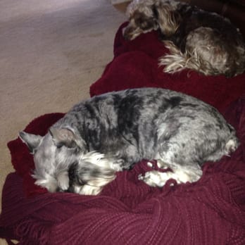 Creature Comforts Animal Hospital 47 Photos 53 Reviews