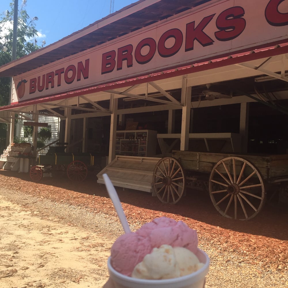 Burton Brooks Orchard Ice Cream & Frozen Yogurt Barney, GA Phone