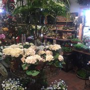 Hidden Valley Nursery Nurseries Gardening 12 Federal Twist Rd The Living Earth