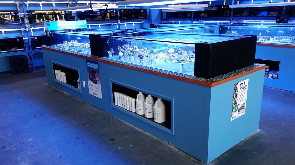 Shipwreck Cove Custom Aquariums 15 Photos & 20 Reviews Aquarium