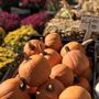 Union Square Greenmarket