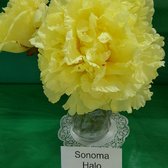 Adelman Peony Gardens - 54 Photos & 16 Reviews - Nurseries & Gardening