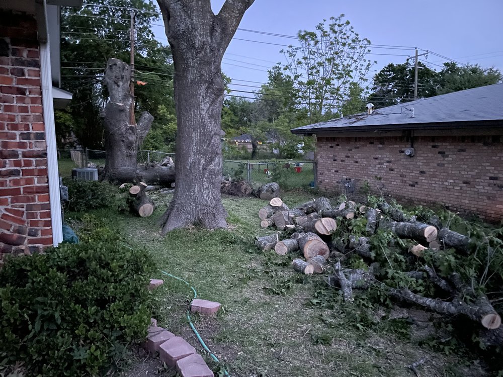 Wise Oak Tree Service