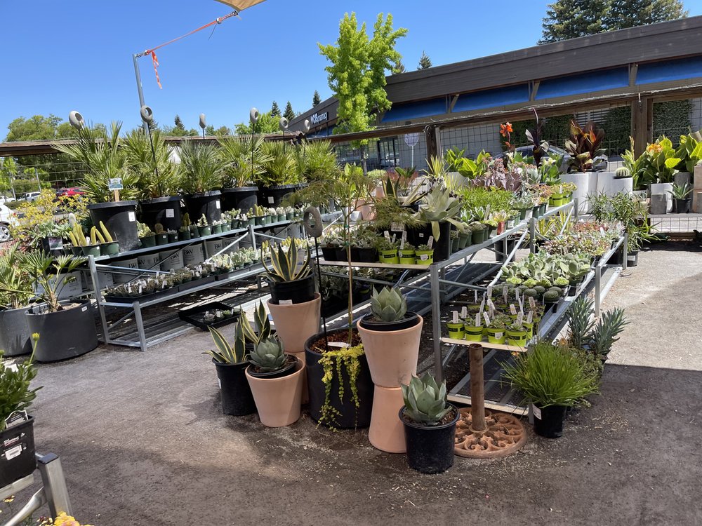 Bennett Valley Gardens