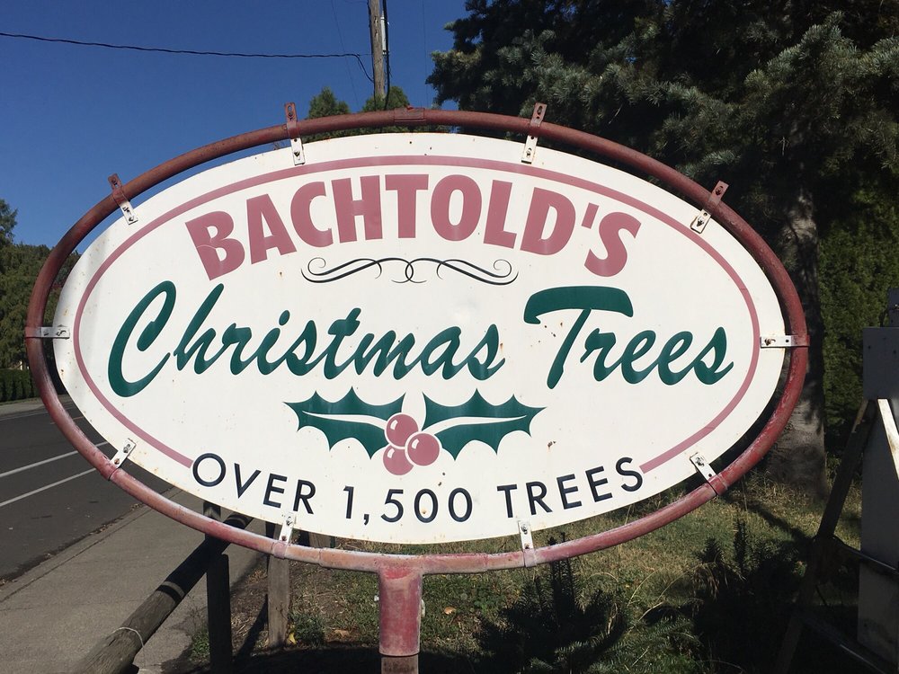 Bachtold's Christmas Trees