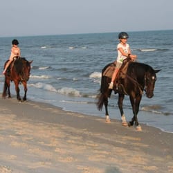 Two Bit Le Horseback Riding On The Beach 21 Photos 11 Photo Of Two Bit Le Horseback Riding On The Beach Cape San Blas