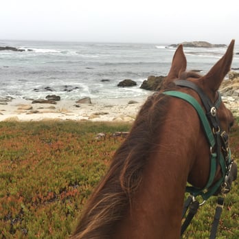 Pebble Beach Equestrian Center 105 Photos 74 Reviews Horseback Photo Of Pebble Beach Equestrian Center Ca United States Once