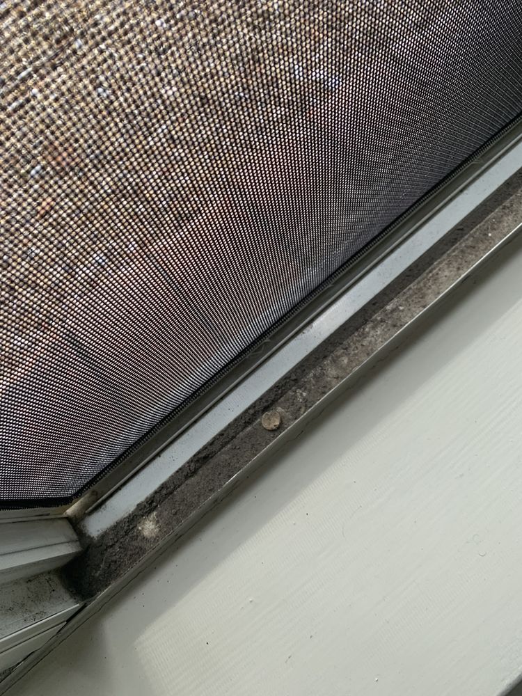 Clear Reflections Window Cleaning