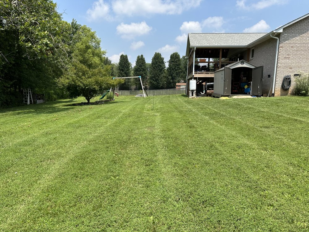 Dan The Caveman Lawn Service
