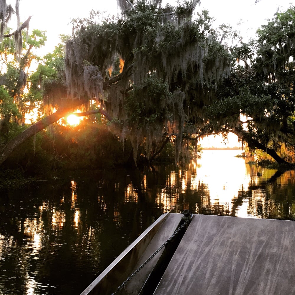 airboat tours by arthur matherne sunset tour in may yelp airboat tours by arthur matherne sunset tour in may yelp