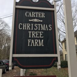 Carter Christmas Tree Farm 123 N Country Rd Miller Place