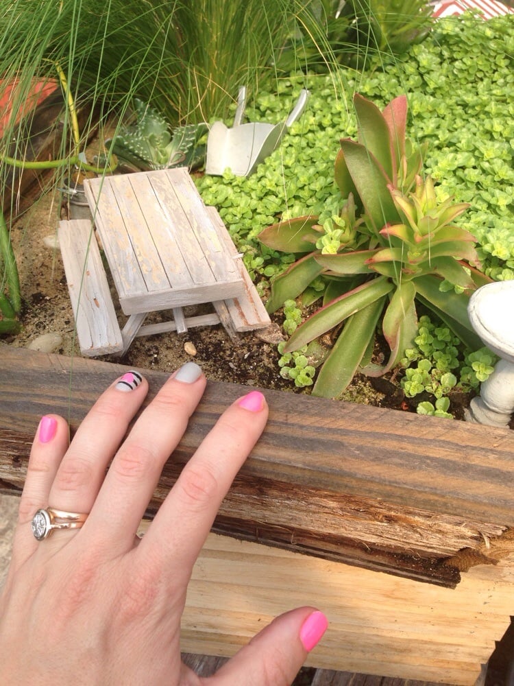 Peconic River Herb Farm 51 Photos & 16 Reviews Nurseries