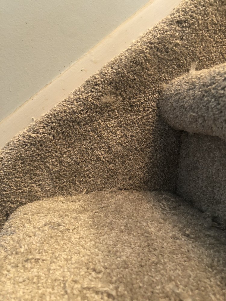 image of business Carpet Guys Oakland County MI