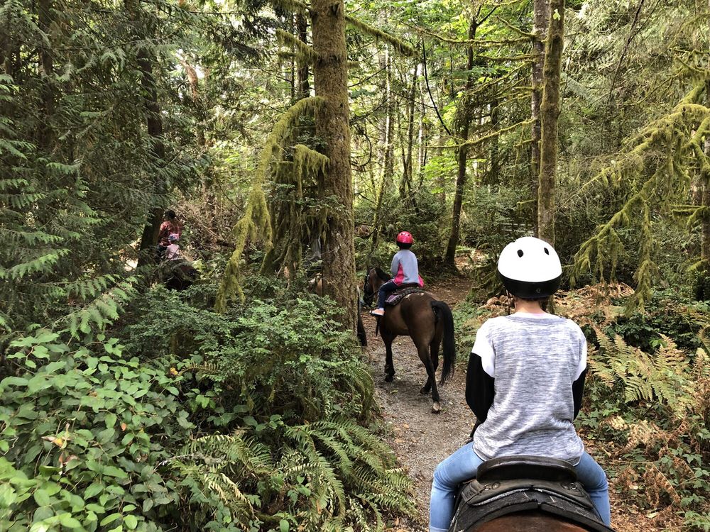 Pets Galore Horse Rides