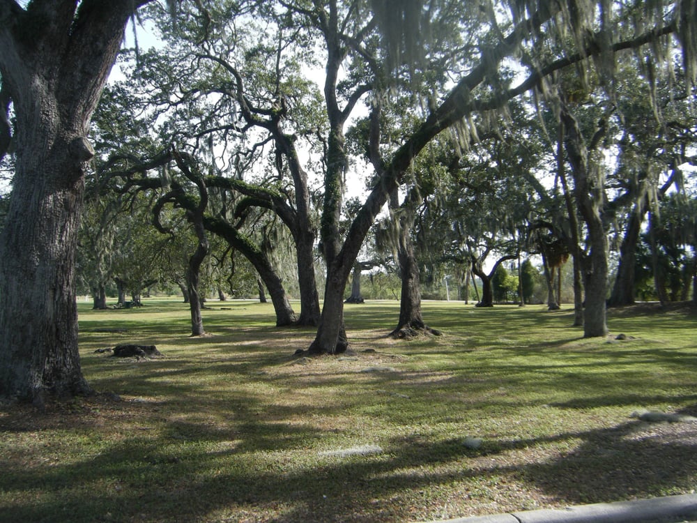 Desoto Park 21 Photos Skate Parks 2617 Corrine St, Tampa, FL