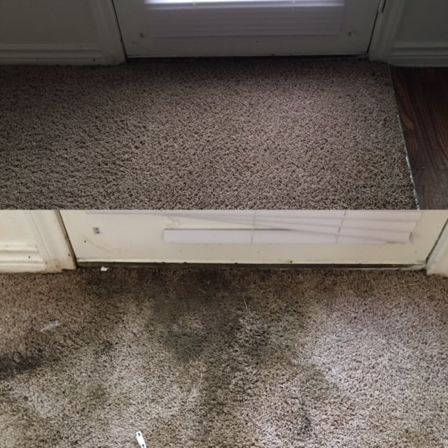 TLC Carpet Cleaning